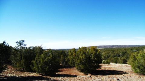 662 E Running Bear Rd, Williams, AZ 86046 photo 5
