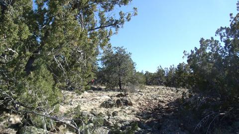 662 E Running Bear Rd, Williams, AZ 86046 photo 3