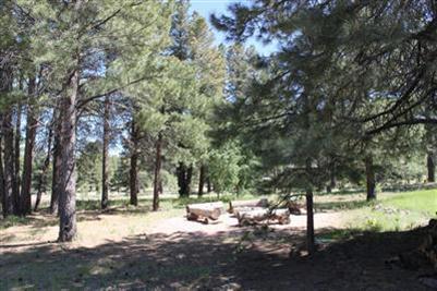 4407 Twilight Way, Flagstaff, AZ 86001 photo 30
