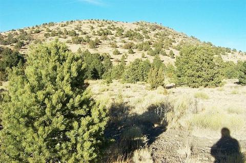 977 E Sidewinder Rd, Williams, AZ 86046 photo 5