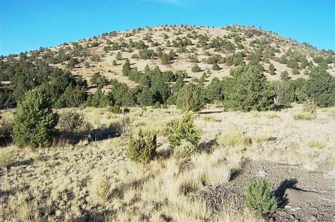 977 E Sidewinder Rd, Williams, AZ 86046 photo 4