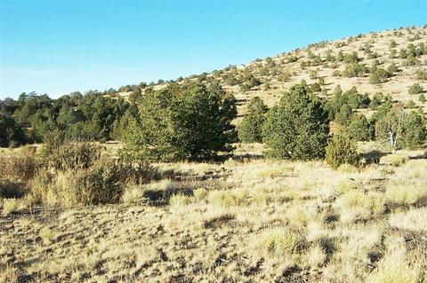 977 E Sidewinder Rd, Williams, AZ 86046 photo 1