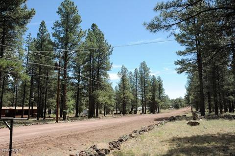 3358 E Pine Cone Dr, Williams, AZ 86046 photo 28