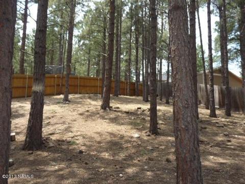 430 E Bennett Dr, Flagstaff, AZ 86001 photo 15