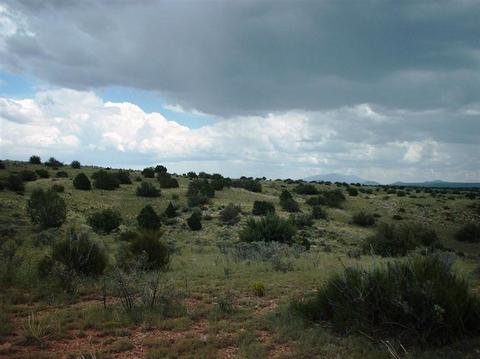 7757 Sharp Knife Rd, Williams, AZ 86046 photo 3