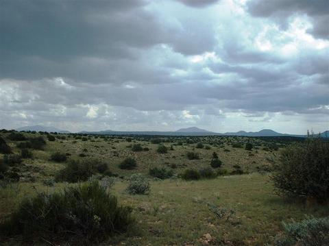 7757 Sharp Knife Rd, Williams, AZ 86046 photo 2