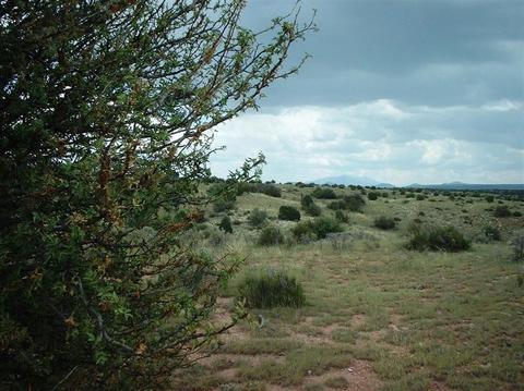 7757 Sharp Knife Rd, Williams, AZ 86046 photo 4