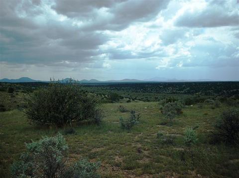 7757 Sharp Knife Rd, Williams, AZ 86046 photo 1