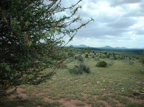 7757 Sharp Knife Rd, Williams, AZ 86046 photo 5