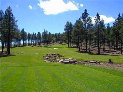 3525 S Lariat Loop, Flagstaff, AZ 86005 photo 4