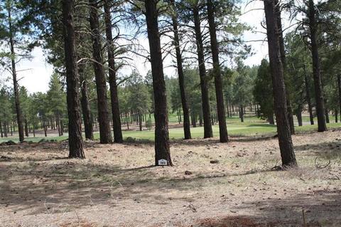 3525 S Lariat Loop, Flagstaff, AZ 86005 photo 1