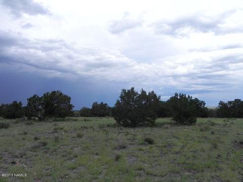 3628 Whitetail Loop, Williams, AZ 86046 photo 31