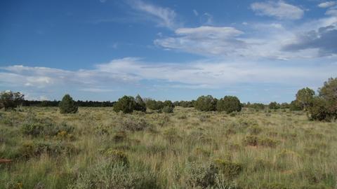4563 E Highgrove Rd, Valle, AZ 86046 photo 15