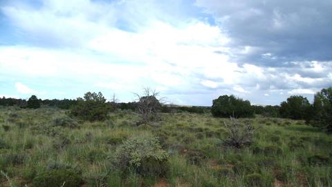 4563 E Highgrove Rd, Valle, AZ 86046 photo 7