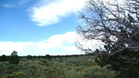 4563 E Highgrove Rd, Valle, AZ 86046 photo 5