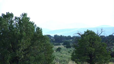 4563 E Highgrove Rd, Valle, AZ 86046 photo 10