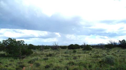 4563 E Highgrove Rd, Valle, AZ 86046 photo 9