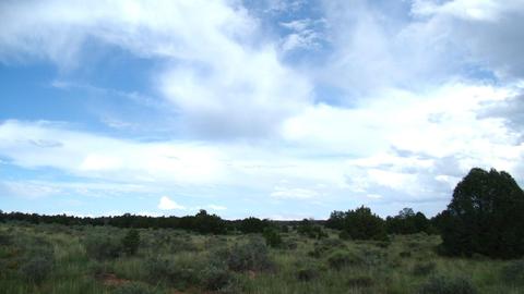 4563 E Highgrove Rd, Valle, AZ 86046 photo 6