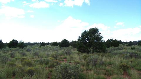 4563 E Highgrove Rd, Valle, AZ 86046 photo 1
