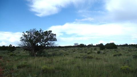 4563 E Highgrove Rd, Valle, AZ 86046 photo 2