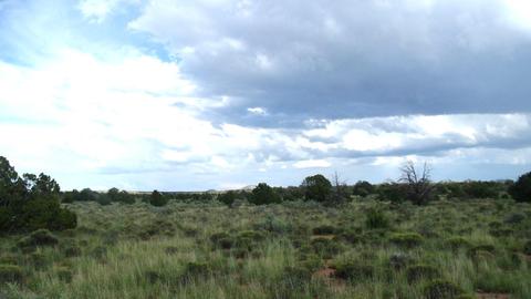4563 E Highgrove Rd, Valle, AZ 86046 photo 8
