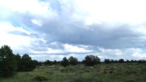 4563 E Highgrove Rd, Valle, AZ 86046 photo 4