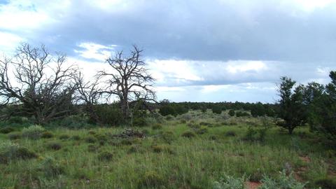 4563 E Highgrove Rd, Valle, AZ 86046 photo 13