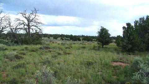 4563 E Highgrove Rd, Valle, AZ 86046 photo 12