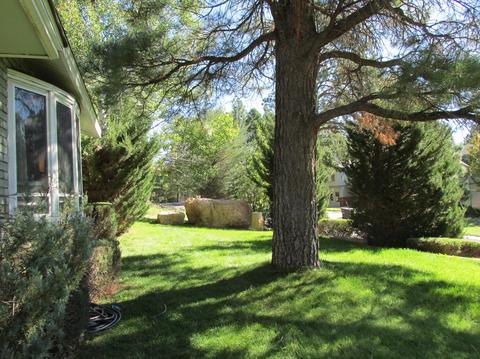 2301 E Pine Tree Ln, Flagstaff, AZ 86004 photo 4