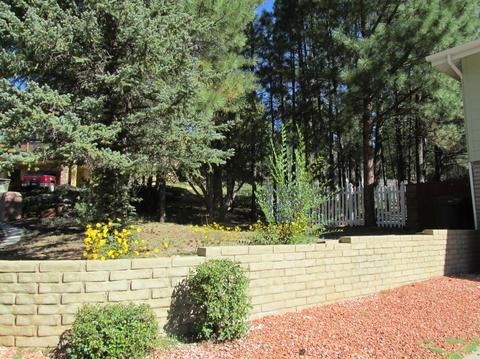 2301 E Pine Tree Ln, Flagstaff, AZ 86004 photo 16