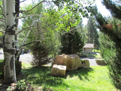 2301 E Pine Tree Ln, Flagstaff, AZ 86004 photo 18