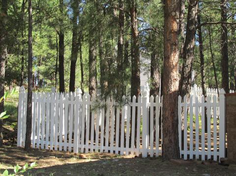 2301 E Pine Tree Ln, Flagstaff, AZ 86004 photo 17