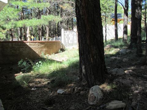 2301 E Pine Tree Ln, Flagstaff, AZ 86004 photo 22