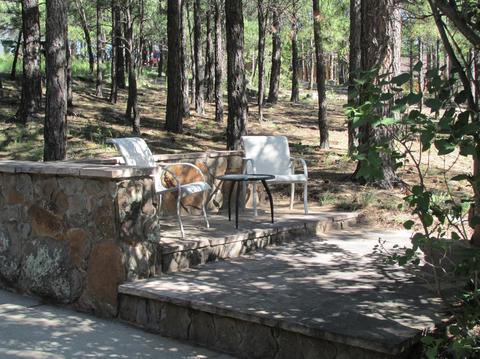 2301 E Pine Tree Ln, Flagstaff, AZ 86004 photo 19