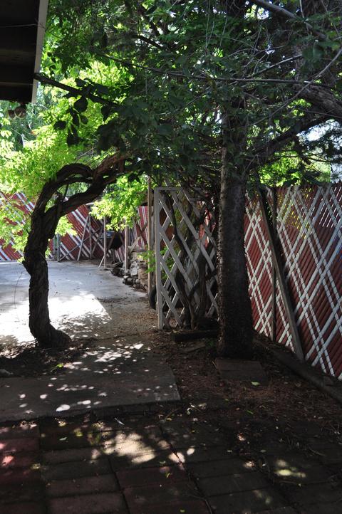 514 E David Dr, Flagstaff, AZ 86001 photo 19