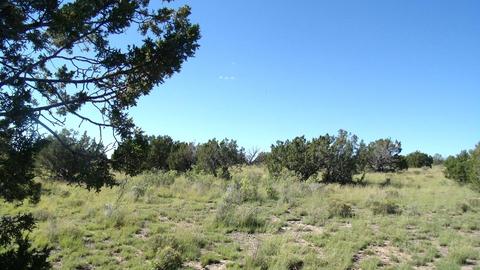 14563 Howard Mesa Loop, Williams, AZ 86046 photo 11