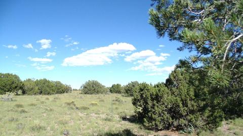 14563 Howard Mesa Loop, Williams, AZ 86046 photo 9