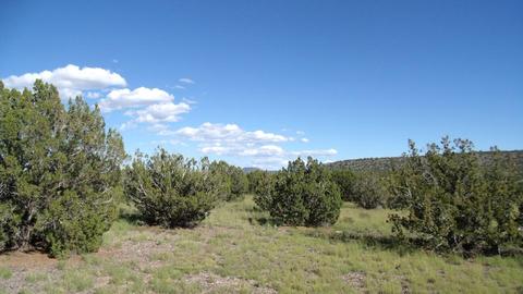 14563 Howard Mesa Loop, Williams, AZ 86046 photo 13