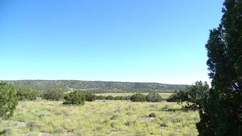 14563 Howard Mesa Loop, Williams, AZ 86046 photo 8