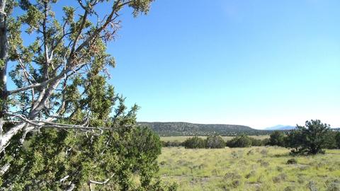 14563 Howard Mesa Loop, Williams, AZ 86046 photo 6