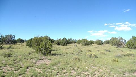 14563 Howard Mesa Loop, Williams, AZ 86046 photo 12
