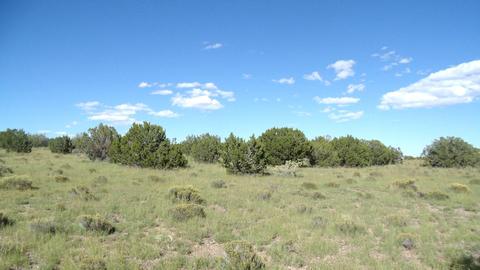 14563 Howard Mesa Loop, Williams, AZ 86046 photo 10