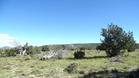 14563 Howard Mesa Loop, Williams, AZ 86046 photo 1