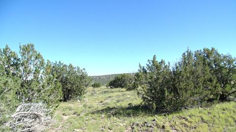 14563 Howard Mesa Loop, Williams, AZ 86046 photo 2