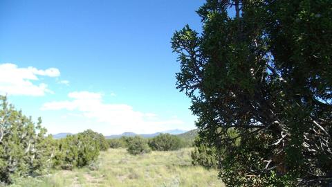 14563 Howard Mesa Loop, Williams, AZ 86046 photo 7