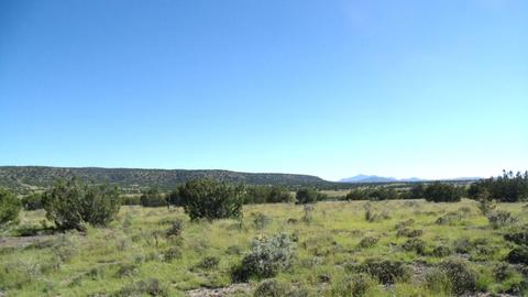 14563 Howard Mesa Loop, Williams, AZ 86046 photo 5