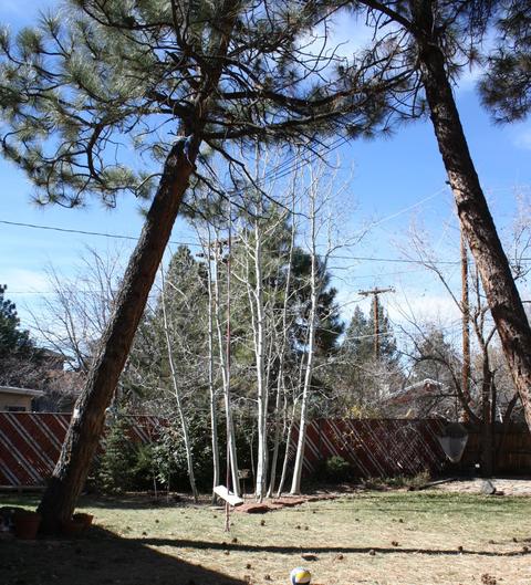 638 E David Dr, Flagstaff, AZ 86001 photo 37