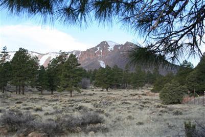 5290 E Forest Dr, Flagstaff, AZ 86004 photo 4