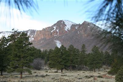 5290 E Forest Dr, Flagstaff, AZ 86004 photo 1