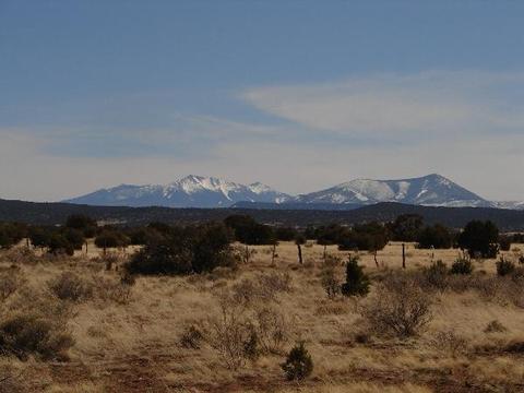 4591 E Ashing Rd, Valle, AZ 86046 photo 3